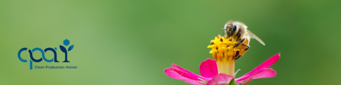 Bee_Flower_Banner.png