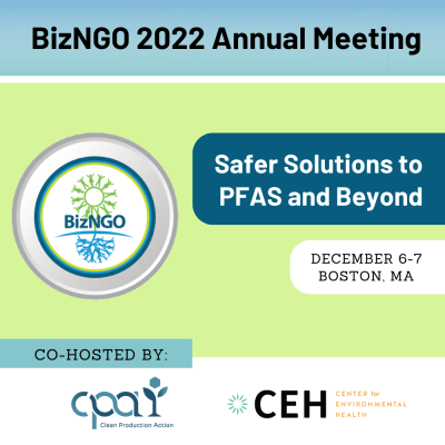BizNGO_2022_Graphic.png